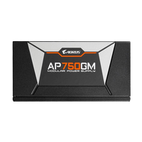 Gigabyte Aorus GPAP750GM 750W 80 Plus Gold Fuente Gigabyte Aorus GPAP750GM 750W 80 Plus Gold Fuente