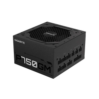 Gigabyte P750GM 750W 80 Plus Gold  Fuente