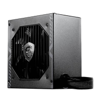 MSI MAG A650BN 650W 80 Bronze Fuente de Alimentación MSI MAG A650BN 650W 80 Bronze Fuente de Alimentación