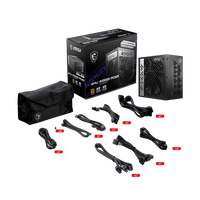 MSI MEG A1000G 1000W 80 Gold Full Modular PCIe 50 Fuente de Alimentación MSI MEG A1000G 1000W 80 Gold Full Modular PCIe 50 Fuente de Alimentación