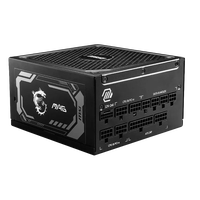 MSI MAG A1250P 1250W 80 Plus Platinum PCIe 5  Fuente de alimentación Full Modular