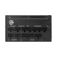 MSI MAG A1250P 1250W 80 Plus Platinum PCIe 5  Fuente de alimentación Full Modular