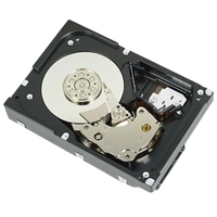 Dell 1TB 400AUPW  Disco Duro Interno 35 SATA 6 Gbs 7200 rpm