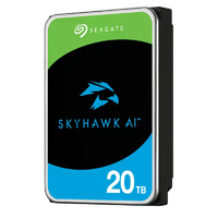 Seagate SkyHawk AI  HDD 20TB 7200RPM SATA 6Gbs 512MB