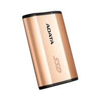 SSD 256GB 500500 SE730H gd U31 ADA SSD 256GB 500500 SE730H gd U31 ADA