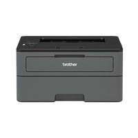 Brother HLL2350DW Monocromo Wifi  Impresora Láser