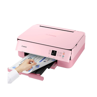 Canon PIXMA TS5352 Wifi Duplex  Impresora Multifunción