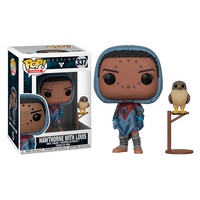 Figura POP Destiny Hawthorne with Hawk Figura POP Destiny Hawthorne with Hawk