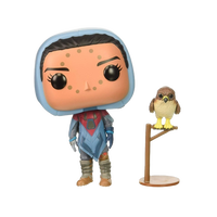 Figura POP Destiny Hawthorne with Hawk Figura POP Destiny Hawthorne with Hawk