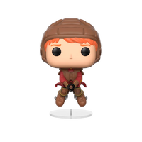Figura POP Harry Potter Ron on Broom