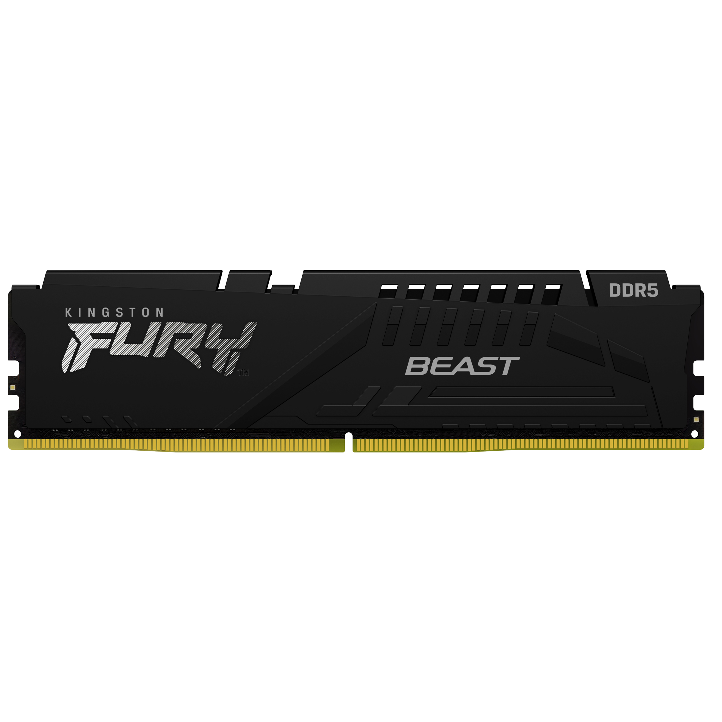 Kingston Fury Beast 32GB