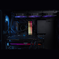 Kingston Fury Beast RGB DDR5 32GB 5200MHZ CL40 Memoria RAM Kingston Fury Beast RGB DDR5 32GB 5200MHZ CL40 Memoria RAM