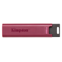 Kingston Technology DataTraveler Max unidad flash USB Type A 256 GB  Pendrive