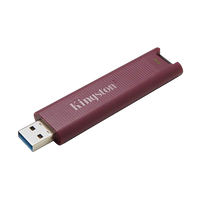 Kingston Technology DataTraveler Max unidad flash USB Type A 1 TB  Pen Drive