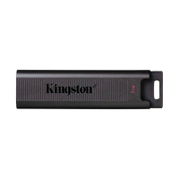 Kingston Technology DataTraveler Max unidad flash USB Type C 1 TB | Pen Drive