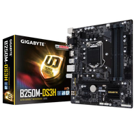 Gigabyte B250M-DS3H - Placa Base