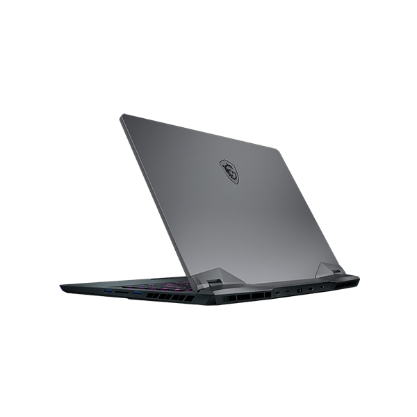 MSI GE66 10SF061ES i7 10750H 32G 1T 2070 W10  Portátil MSI GE66 10SF061ES i7 10750H 32G 1T 2070 W10  Portátil