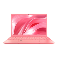 MSI 14 A10RAS081ES i7 10510U 16GB 1TB MX330 W10  Portátil