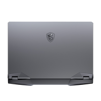 MSI GE66 Raider 10UG270ES Intel i9 10980HK 32GB RAM 1TB SSD RTX 3070 156 300Hz Windows 10  Portátil