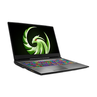 MSI Alpha 17 A4DEK022XES AMD Ryzen 7 4800H 16GB RAM 1TB SSD AMD RX5600M 175 Full HD 144Hz FreeDOS  Portátil