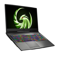 MSI Alpha 17 A4DEK022XES AMD Ryzen 7 4800H 16GB RAM 1TB SSD AMD RX5600M 175 Full HD 144Hz FreeDOS  Portátil