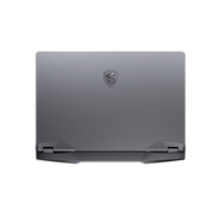 MSI GE66 Raider 10UG602ES Intel i9 10980HK 32GB RAM 1TB SSD Nvidia RTX 3070 156 FullHD 240Hz  Windows 10 156