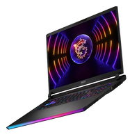 MSI Raider GE78 13VI063ES Intel Core i9 13980HX 64GB RAM 2TB SSD Nvidia Geforce RTX 4090 17 QHD 240Hz Windows 11  Portátil