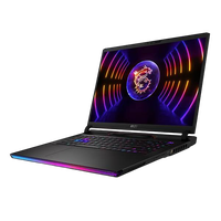 MSI Raider GE78HX 13VH064ES Intel Core i9 13950HX 64GB RAM 2TB SSD Nvidia Geforce RTX 4080 17 QHD 240Hz Windows 11  Portátil