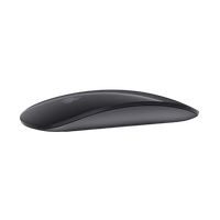 Apple Magic Mouse 2 gris espacial  Ratón