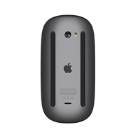 Apple Magic Mouse 2 gris espacial  Ratón