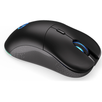Endorfy GEM Plus Wireless Ratón Endorfy GEM Plus Wireless Ratón