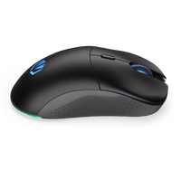 Endorfy GEM Plus Wireless Ratón Endorfy GEM Plus Wireless Ratón
