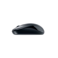 GENIUS DX110 Negro PS2  Ratón