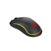 Ozone Neon X20 RGB óptico 10000 DPI  Ratón