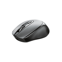 Trust Zaya inalámbrico negro  Ratón