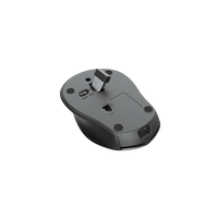 Trust Zaya inalámbrico negro  Ratón