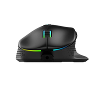 XPG Alpha BKCWW 16000 DPI 6 botones programables Ratón Gaming XPG Alpha BKCWW 16000 DPI 6 botones programables Ratón Gaming