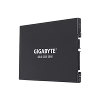 Gigabyte UD Pro 256GB 25 SATA Disco Duro SSD Gigabyte UD Pro 256GB 25 SATA Disco Duro SSD