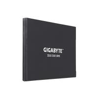Gigabyte UD Pro 256GB 25 SATA Disco Duro SSD Gigabyte UD Pro 256GB 25 SATA Disco Duro SSD