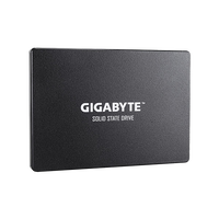 Gigabyte 256GB 25 520MBs 500MBs Disco Duro SSD Gigabyte 256GB 25 520MBs 500MBs Disco Duro SSD