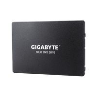 Gigabyte 256GB 25 520MBs 500MBs Disco Duro SSD Gigabyte 256GB 25 520MBs 500MBs Disco Duro SSD
