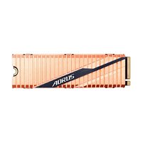 Gigabyte Aorus M2 500GB NVMe PCIe 40 x4 SSD Gigabyte Aorus M2 500GB NVMe PCIe 40 x4 SSD
