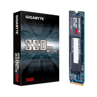 Gigabyte M2 256GB NVMe PCIe 30 x4  SSD