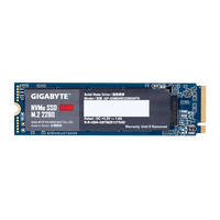 Gigabyte M2 256GB NVMe PCIe 30 x4  SSD