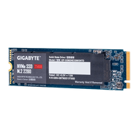 Gigabyte M2 256GB NVMe PCIe 30 x4  SSD