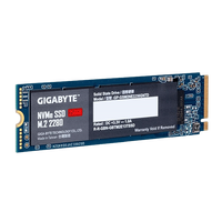 Gigabyte M2 256GB NVMe PCIe 30 x4  SSD