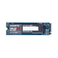 Gigabyte M2 1TB NVMe PCIE X2 Disco Duro SSD Gigabyte M2 1TB NVMe PCIE X2 Disco Duro SSD