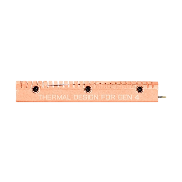 Gigabyte Aorus Gen4 1TB M2 NVMe PCIe 40 x4  SSD Gigabyte Aorus Gen4 1TB M2 NVMe PCIe 40 x4  SSD