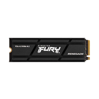 Kingston Fury Renegade PCIe 40 NVMe M2 500GB con dispador SSD Kingston Fury Renegade PCIe 40 NVMe M2 500GB con dispador SSD