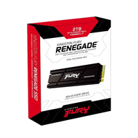 Kingston Fury Renegade PCIe 40 NVMe M2 2TB con disipador  SSD